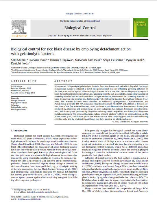 Biological control for rice blast disease by employing detachment action with gelatinolytic bacteria